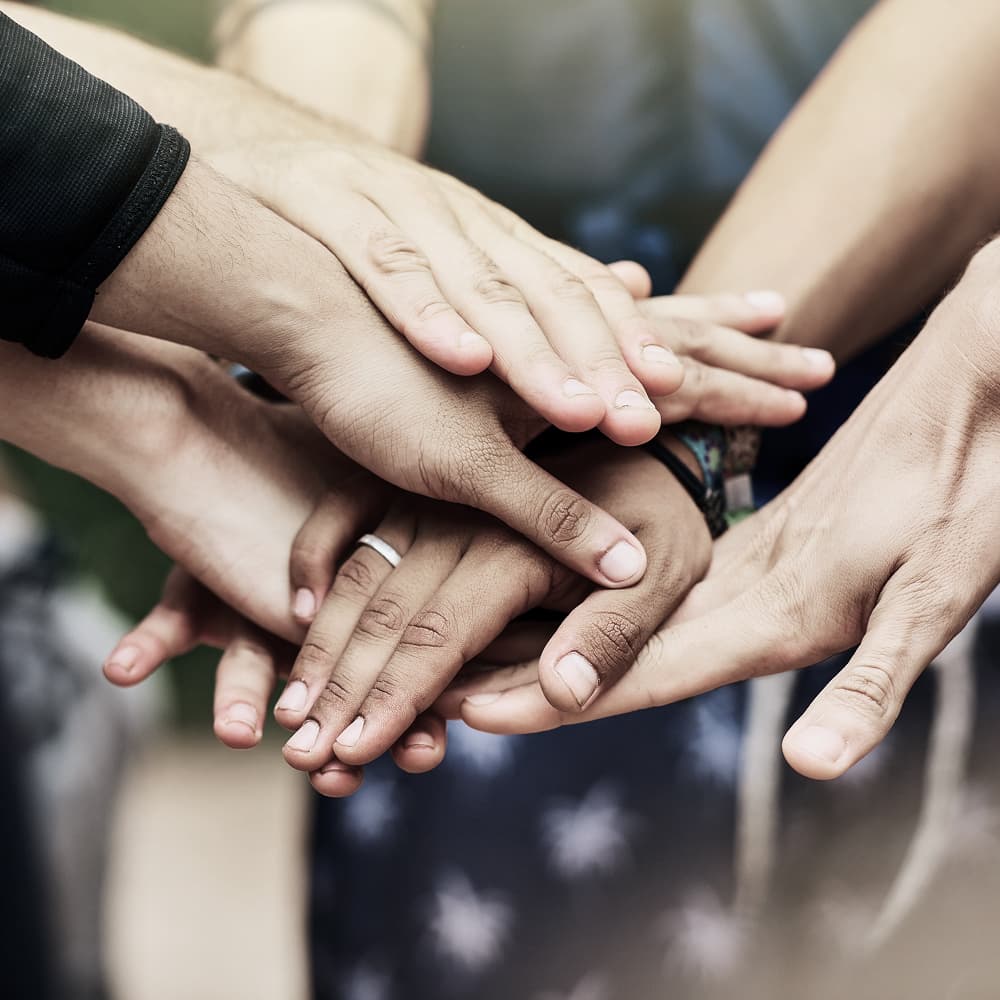 Rooted in Community: